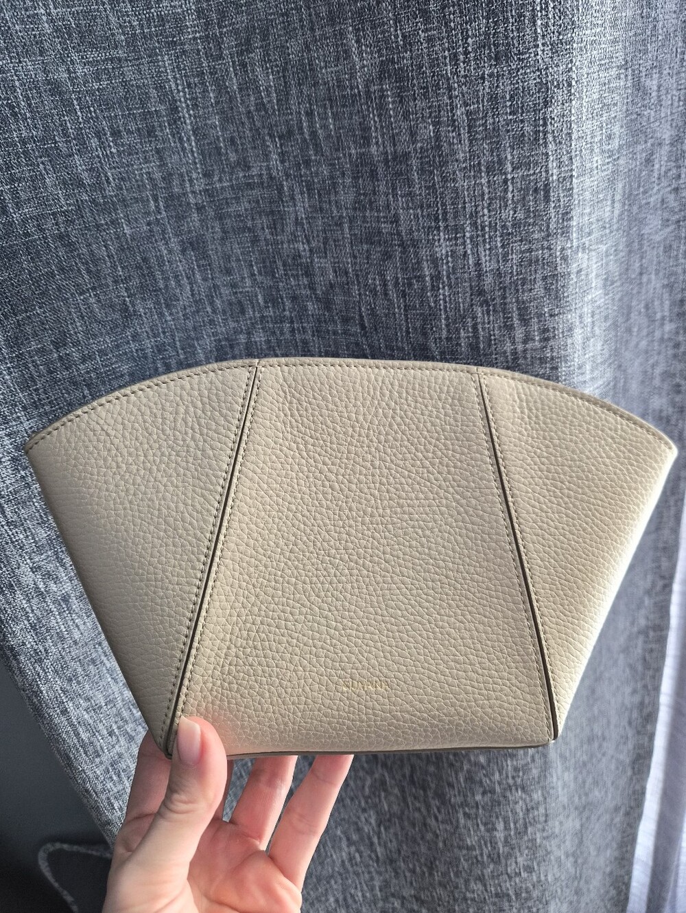 Cuyana Forma Pouch